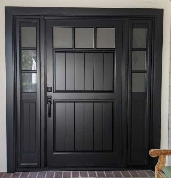 Sidelights door